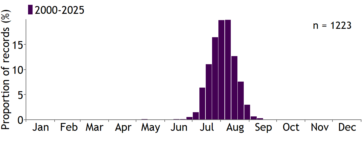 Moths